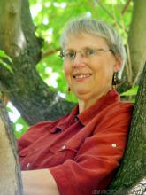 [Photo of Heather Rose Jones in a tree]